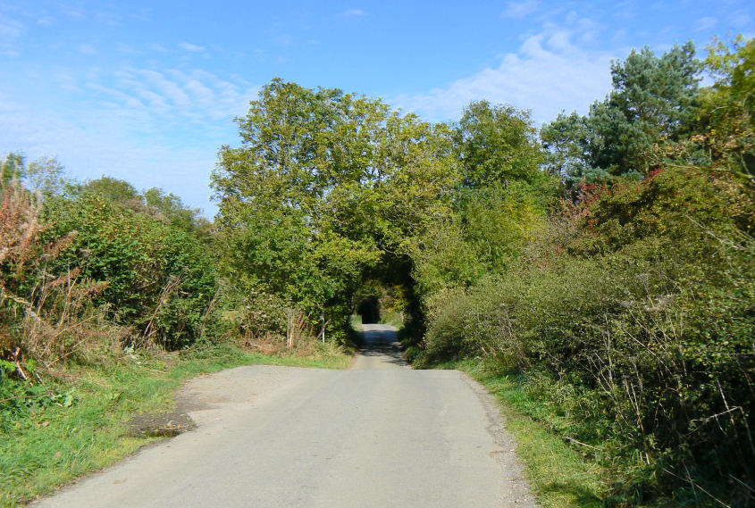Stainsbro Lane Stainsbro Lane